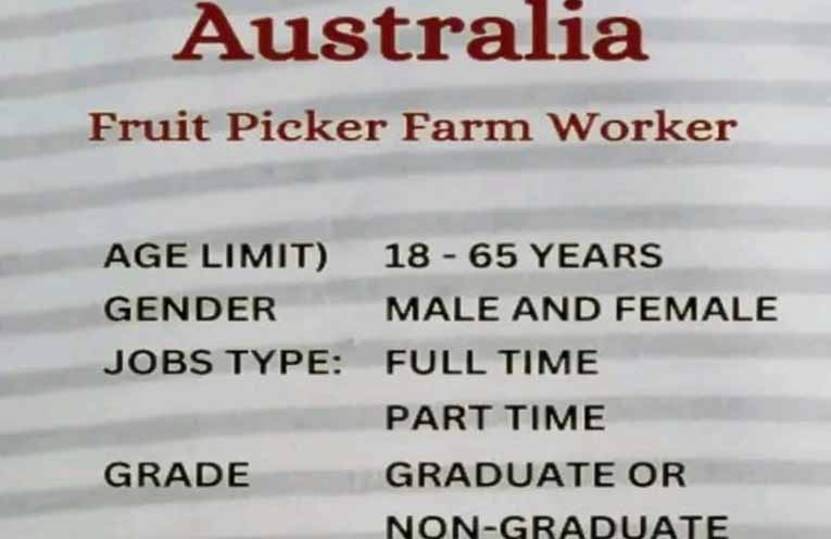 NSW Anti-slavery Commissioner details systemic exploitation of vulnerable berry pickers in Coffs Harbour and Nambucca Valley