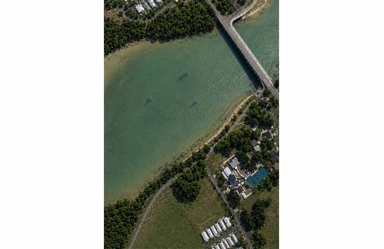 Artist’s impressions of what it would look like for the dolphins in Coffs Creek adjacent to the Wildlife Sanctuary.