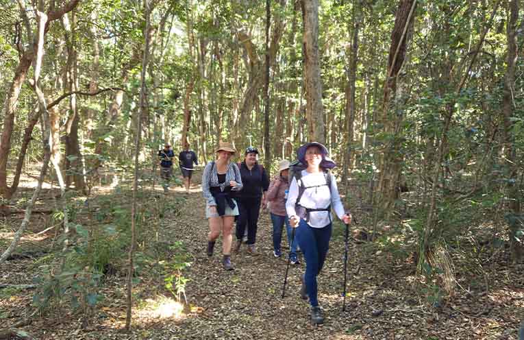 Participants enjoying the Bundageree Rainforest Walk. Photo: Jessica Miller.