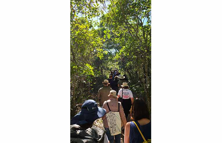 Setting off on the walk through Bongil Bongil National Park. Photo: Jessica Miller.