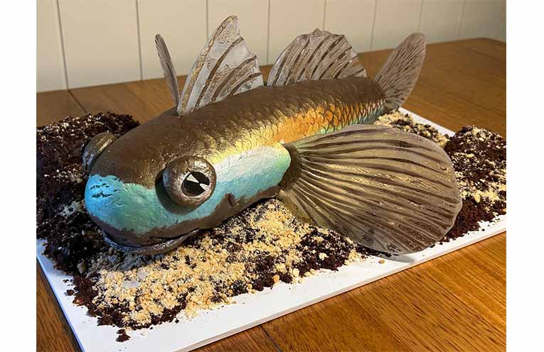 Opal cling goby by Emma, Sarah, and Heidi. Photo: Federal Department of Environment.