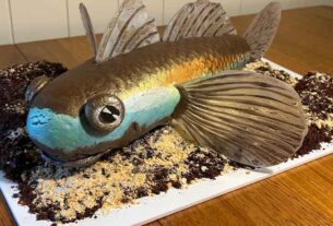 National Threatened Species Bake-Off comes to Bellingen
