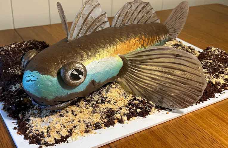 National Threatened Species Bake-Off comes to Bellingen