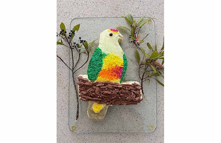 Rose-crowned fruit-dove by Jade and Ethan. Photo: Federal Department of Environment.