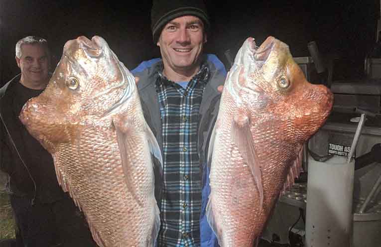 STINKER: Secret of snapper bumps on the head