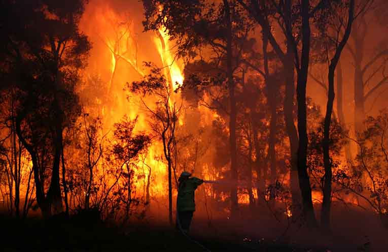 Fire services warn bushfire danger period starts now