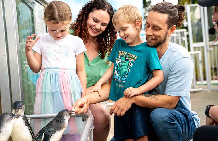 A family meets some of the wildlife at Coffs Coast Wildlife Sanctuary.