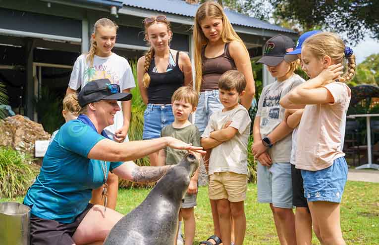 An information session with a sea lion at Coffs Coast Wildlife Sanctuary.