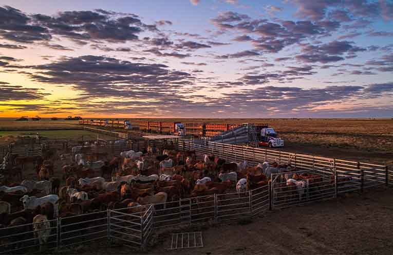 2nd place in 2025: First Load at First Light, by Connor Smith. Photo: NFF.