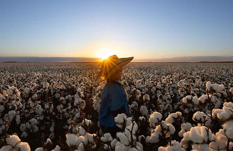 Runners-up: Threads of Gold, by Kellie Craft. Photo: NFF.
