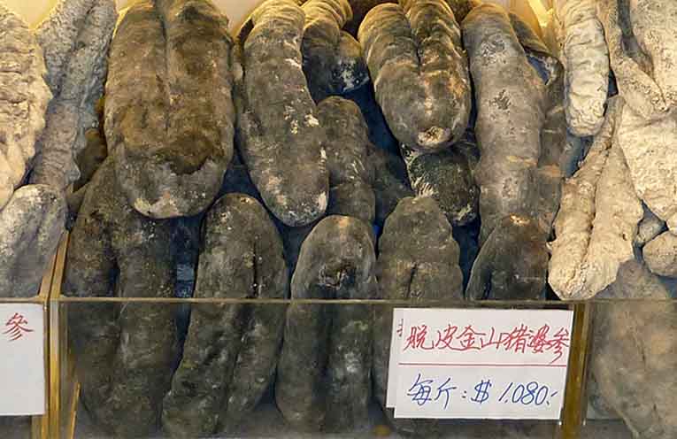Black teatfish on sale in a food market in Hong Kong. Photo: S. Purcell.